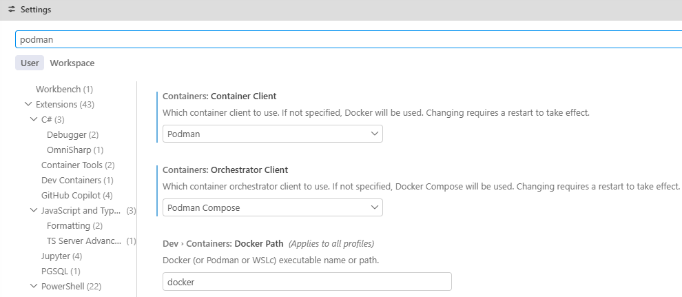 VS Code Dev Containers provider selection placeholder